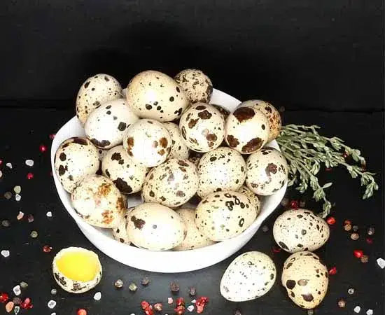 Перепелині яйця від Фермерського господарства 20шт